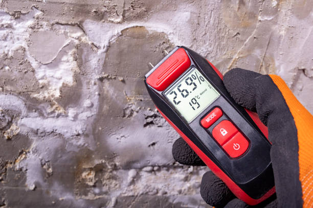 Office Mold Removal Services in Fowler, CO