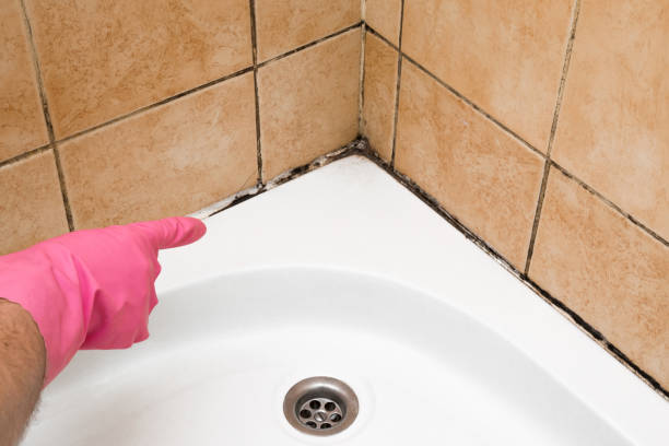 Best Residential Mold Removal  in Fowler, CO